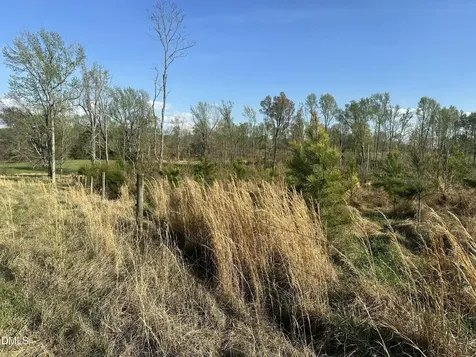 7.28 Acres Jones Road Hurdle Mills NC 27541