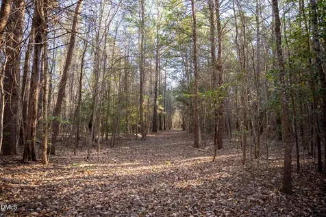 8730 Grassy Creek Road Bullock NC 27507
