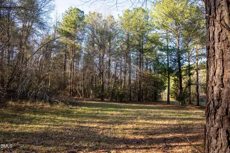8730 Grassy Creek Road Bullock NC 27507