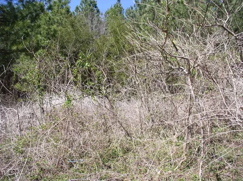 3003 Jonathans Landing Bullock NC 27507
