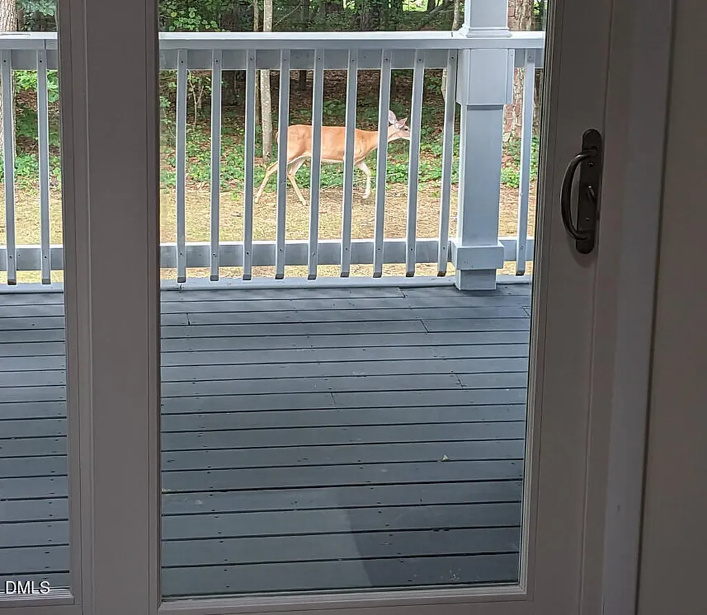 702 Hillandale Lane Garner NC 27529