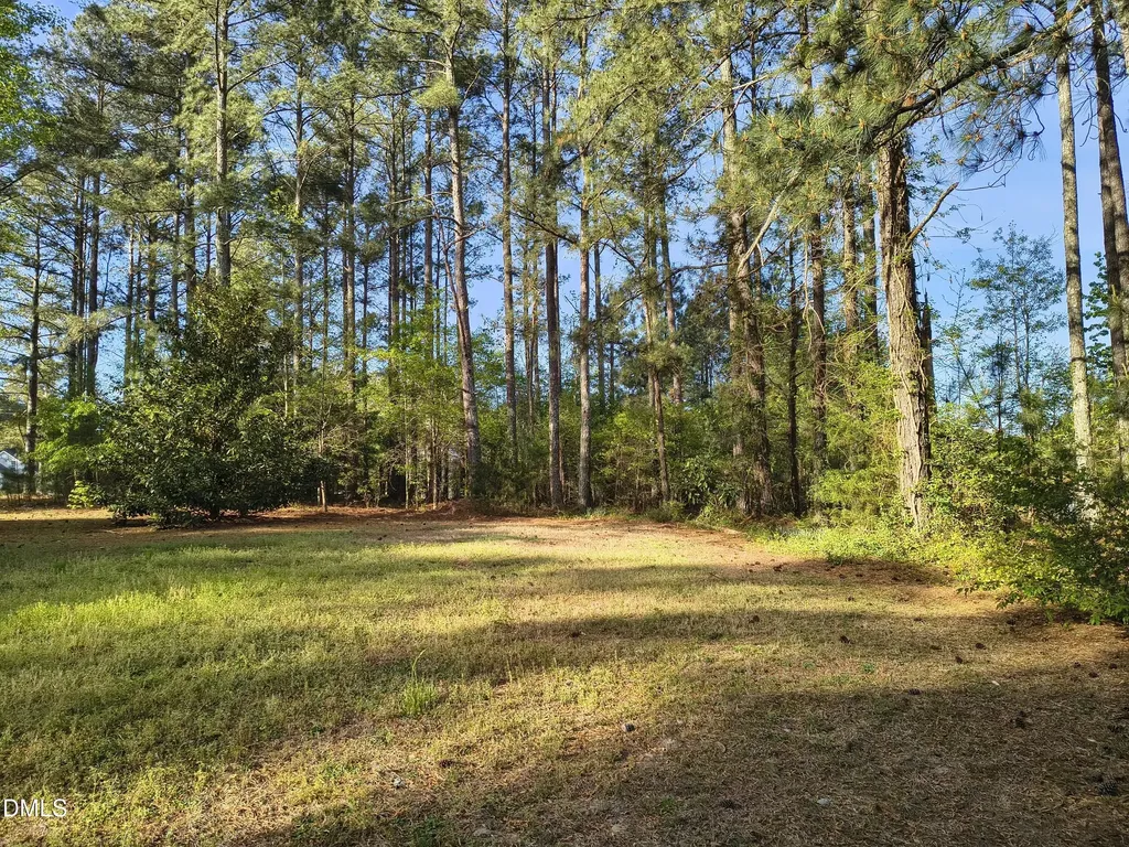 1007 Swift Creek Drive Clayton NC 27520