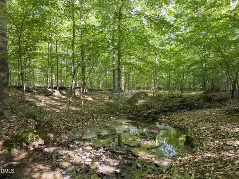5500 N Carolina 86 (lot 2) Chapel Hill NC 27514
