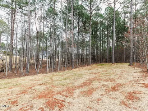 195 Purslane Drive Franklinton NC 27525