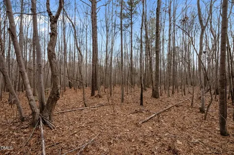 10.75 Acre Neal's Store Road Roxboro NC 27574