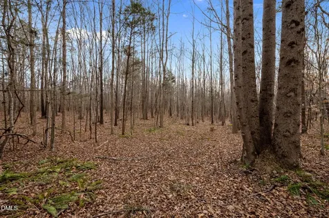 10.75 Acre Neal's Store Road Roxboro NC 27574