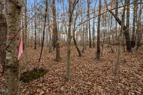10.75 Acre Neal's Store Road Roxboro NC 27574