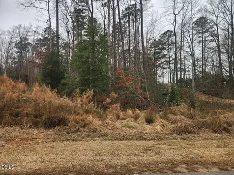 316 Shawnee Drive Louisburg NC 27549