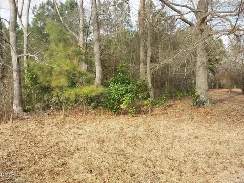 6741 Wimberly Road Willow Springs NC 27592