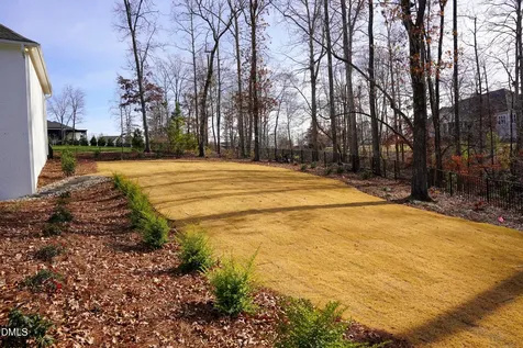 297 Diamante Drive Clayton NC 27527