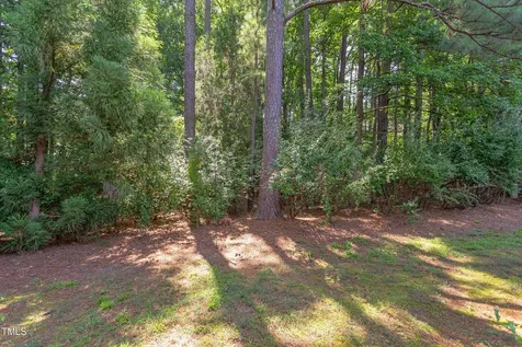 309 Baneberry Close Pittsboro NC 27312
