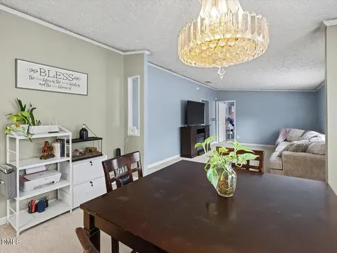 523 County Line Road Manson NC 27553