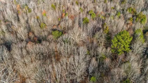 0 Lee Emerson Bear Creek NC 27207