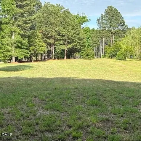 317 Doc Lane Manson NC 27553