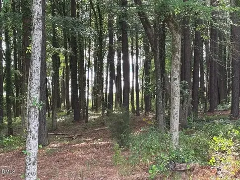 317 Doc Lane Manson NC 27553