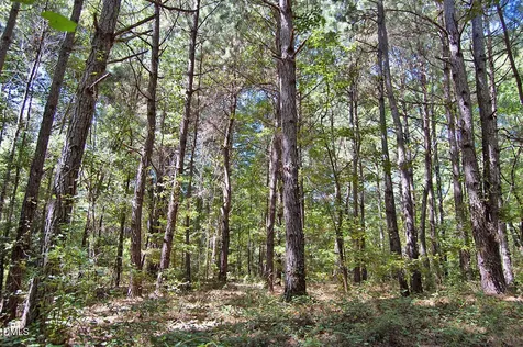 2 Nc Highway 33 Tarboro NC 27886