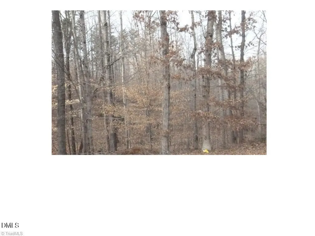 00 Mountain View Pelham NC 27311