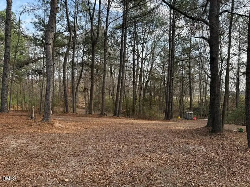 8613 Breezy Grove Trail Wake Forest NC 27587