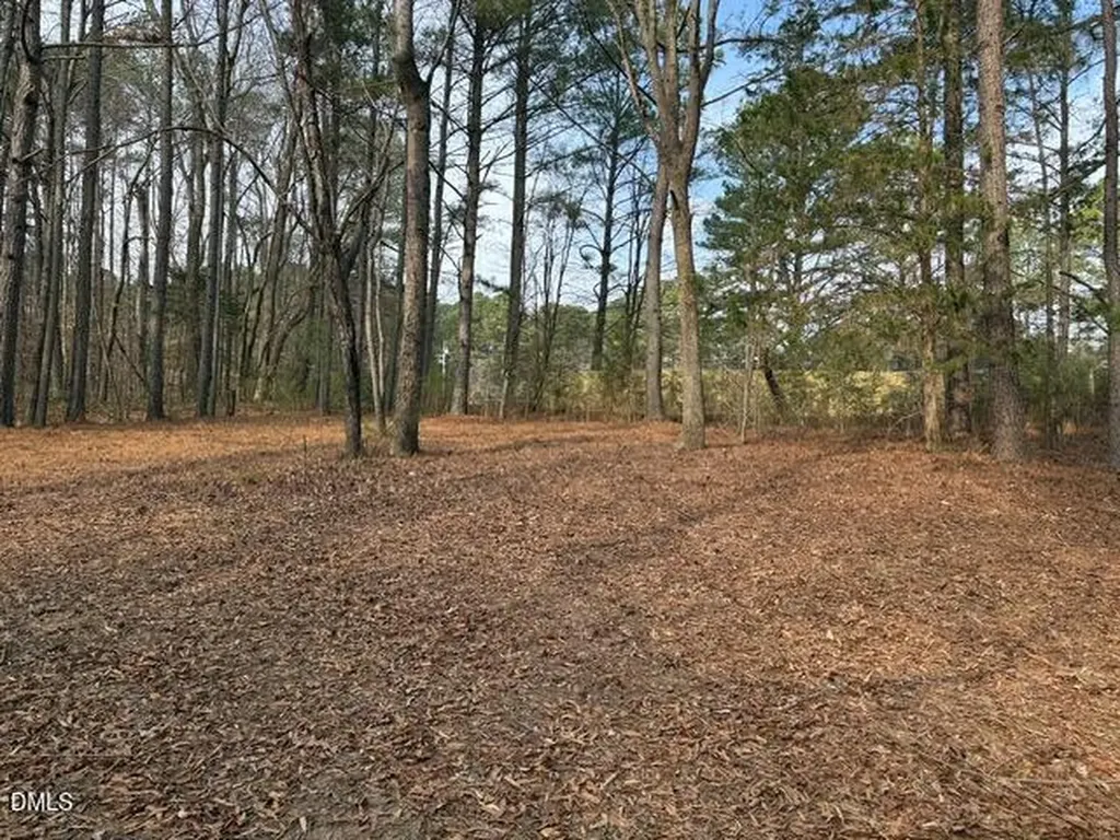 8613 Breezy Grove Trail Wake Forest NC 27587