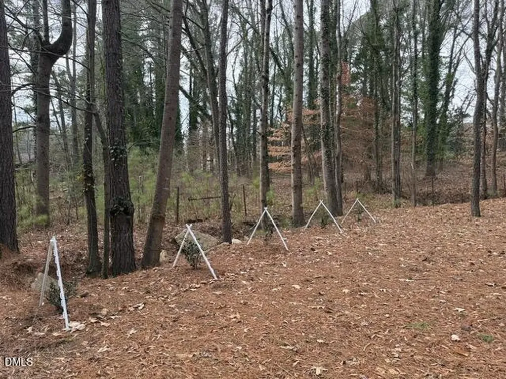 8613 Breezy Grove Trail Wake Forest NC 27587