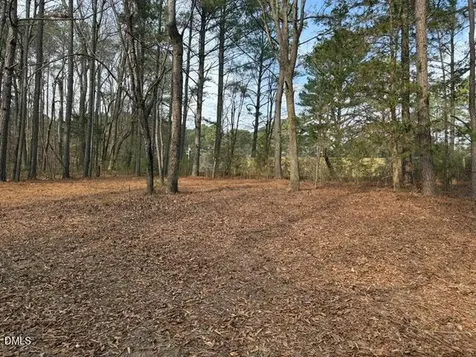 8613 Breezy Grove Trail Wake Forest NC 27587