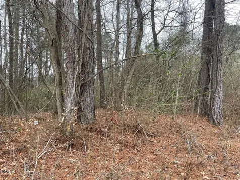 70 Wilson Bunnlevel NC 28323