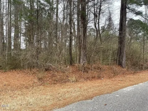 70 Wilson Bunnlevel NC 28323