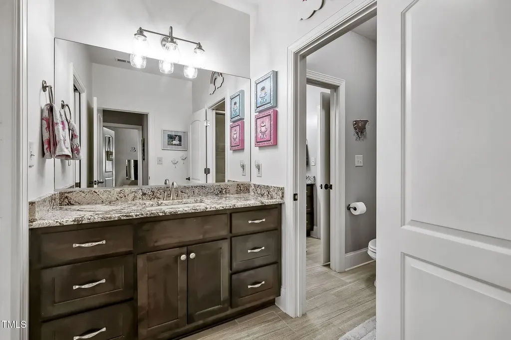 39 Wood Stork Court Clayton NC 27520