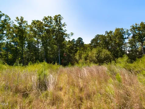 152 Bird Dog Drive Angier NC 27501