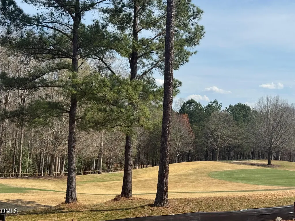 1309 Eagleson Lane Wake Forest NC 27587
