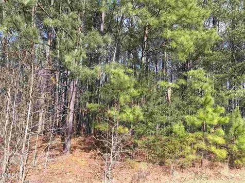3165 Tump Wilkins Road Stem NC 27581