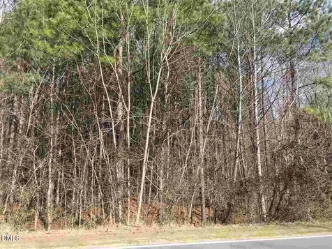 3165 Tump Wilkins Road Stem NC 27581