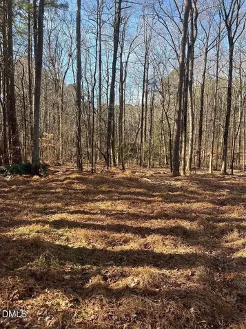 204 Fairhaven Street Apex NC 27539