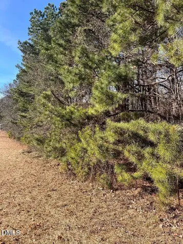 204 Fairhaven Street Apex NC 27539