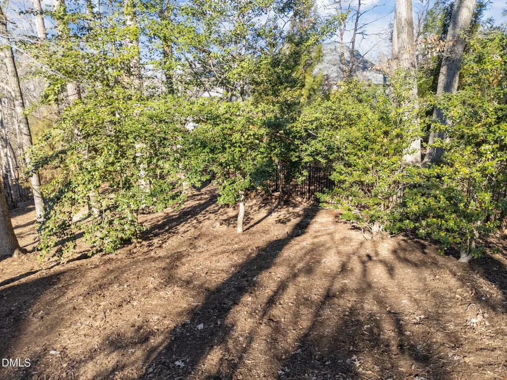 219 Brown Bear Chapel Hill NC 27517