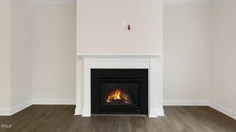 30 East Fire Opal Court Clayton NC 27520
