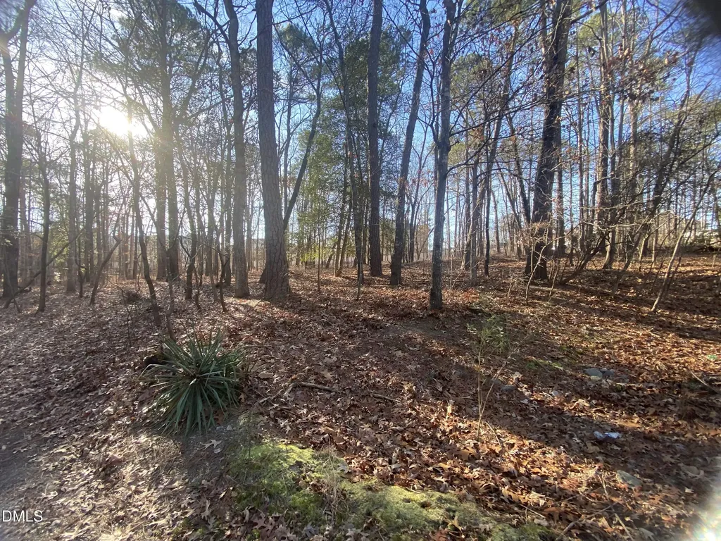 5301 Shadow Valley Road Holly Springs NC 27540