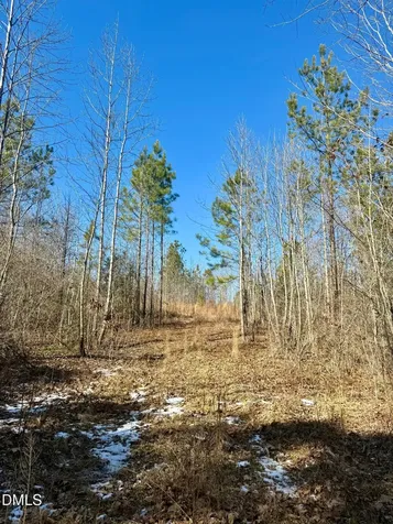 0 Warren Woods Street Warrenton NC 27589