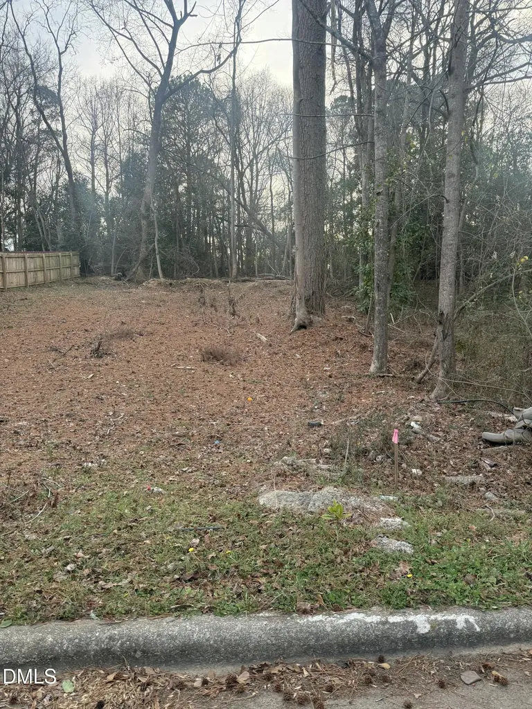 0 E Hinton Street Clayton NC 27520