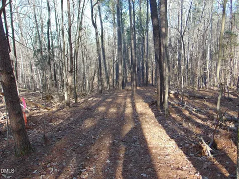 0 Bason Road Mebane NC 27302
