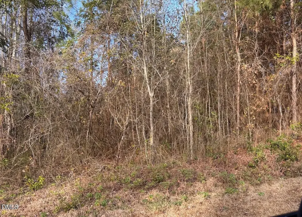 0 Watson Grave Yard Road Clarkton NC 28433