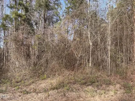 0 Watson Grave Yard Road Clarkton NC 28433