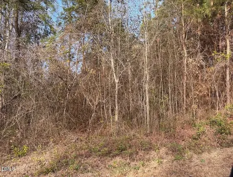 0 Watson Grave Yard Road Clarkton NC 28433