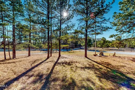 125 Ninovan Place Rougemont NC 27572