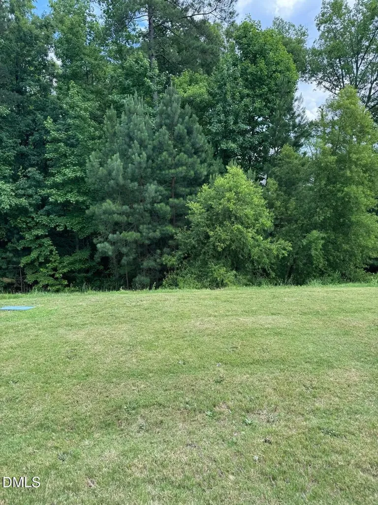 194 River Dell Townes Avenue Clayton NC 27527