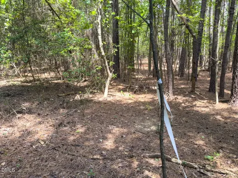 00 Mt Pleasant Church Road Manson NC 27553