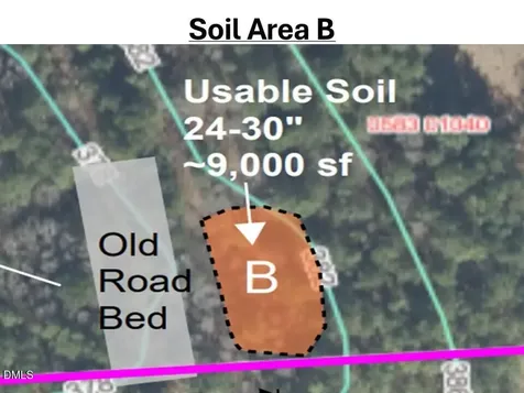 00 Mt Pleasant Church Road Manson NC 27553