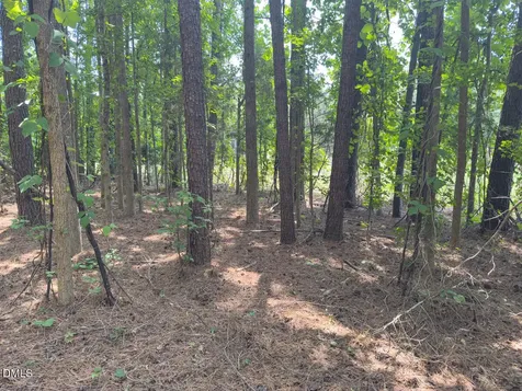 00 Mt Pleasant Church Road Manson NC 27553