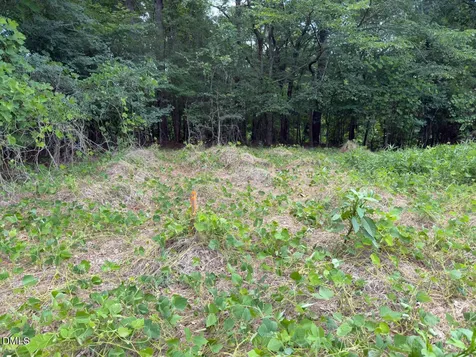 00 Mt Pleasant Church Road Manson NC 27553