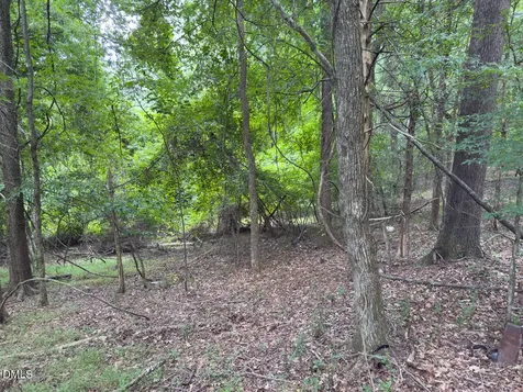 00 Mt Pleasant Church Road Manson NC 27553